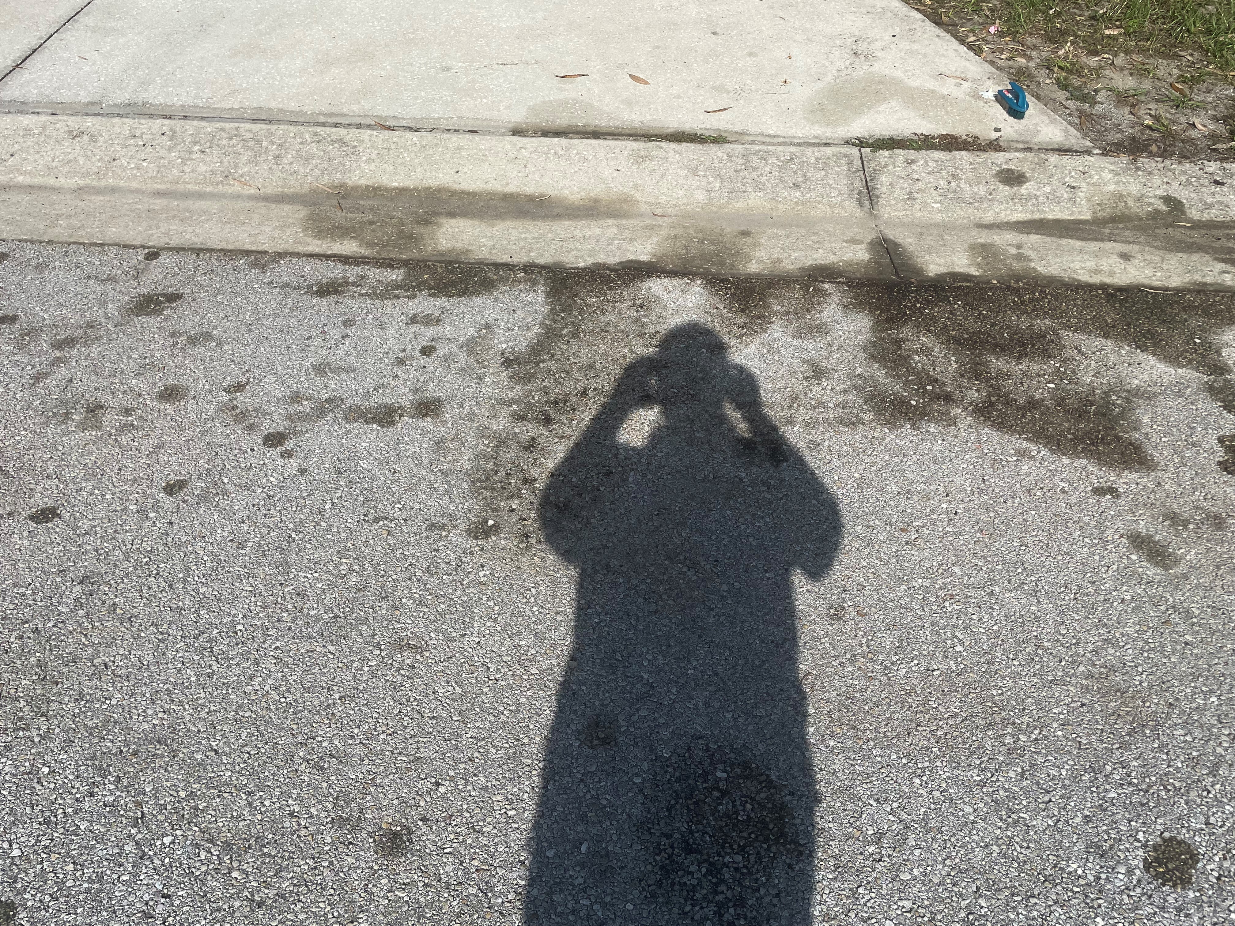 Pressure Washing Service in Avon Park, FL